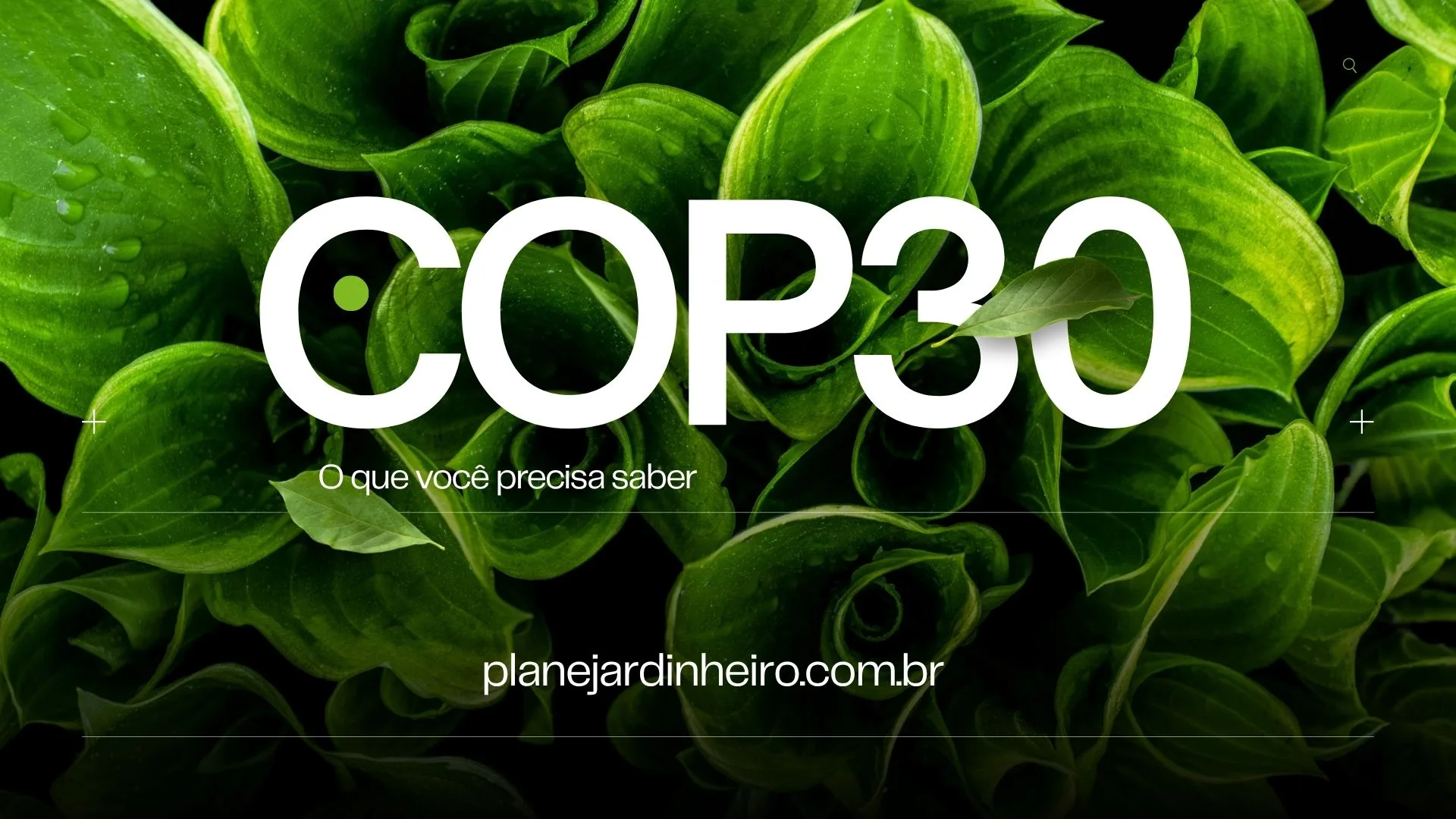 COP30: Impacto da Mudança Climática na Economia das Empresas, Desmatamento e Aquecimento Global